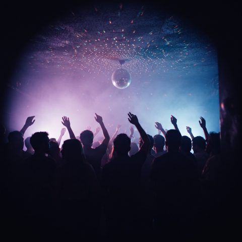 The Night Party cover art